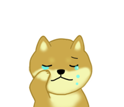 Love Love Shibainu ! [40] sticker #15092054