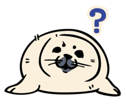 Harp seal's baby sticker sticker #15092907