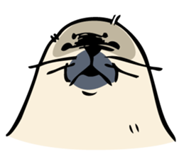 Harp seal's baby sticker sticker #15092908