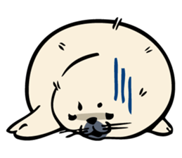 Harp seal's baby sticker sticker #15092909