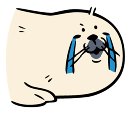 Harp seal's baby sticker sticker #15092911
