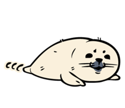 Harp seal's baby sticker sticker #15092920