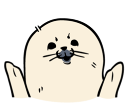 Harp seal's baby sticker sticker #15092922