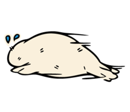 Harp seal's baby sticker sticker #15092927