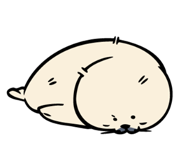 Harp seal's baby sticker sticker #15092928