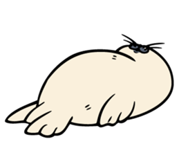 Harp seal's baby sticker sticker #15092935