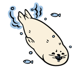 Harp seal's baby sticker sticker #15092939