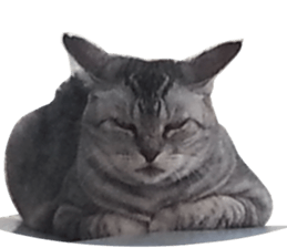 NANA stickers Vol.6 sticker #15093370