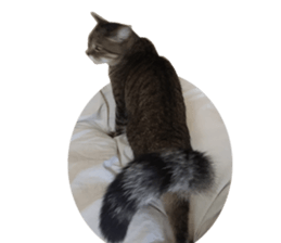 NANA stickers Vol.6 sticker #15093377