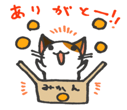 Orange-Cardboard cat sticker #15093612