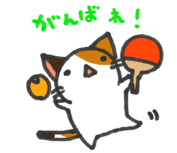 Orange-Cardboard cat sticker #15093613