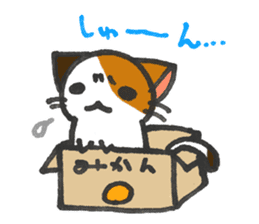 Orange-Cardboard cat sticker #15093615