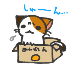 Orange-Cardboard cat sticker #15093615
