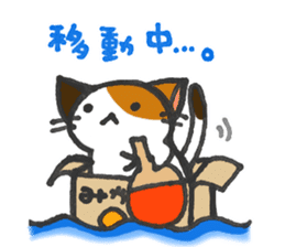 Orange-Cardboard cat sticker #15093617