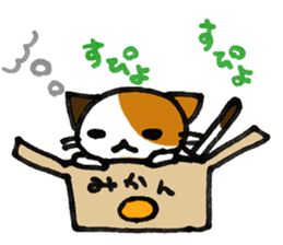 Orange-Cardboard cat sticker #15093620