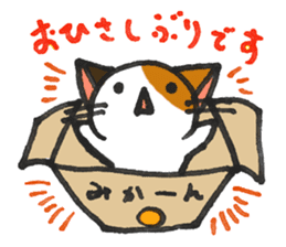 Orange-Cardboard cat sticker #15093621
