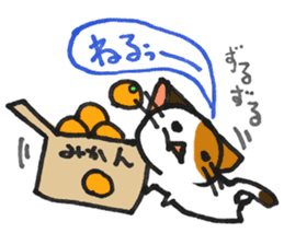Orange-Cardboard cat sticker #15093623