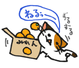 Orange-Cardboard cat sticker #15093623