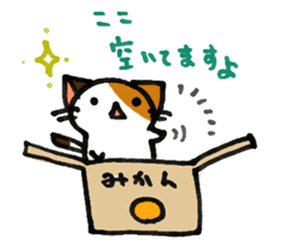 Orange-Cardboard cat sticker #15093625