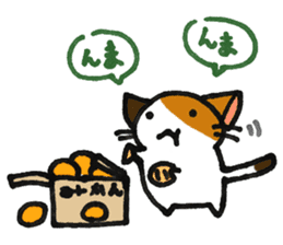 Orange-Cardboard cat sticker #15093635