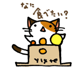 Orange-Cardboard cat sticker #15093639