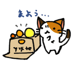 Orange-Cardboard cat sticker #15093640