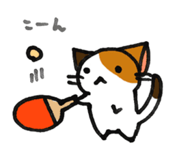 Orange-Cardboard cat sticker #15093642