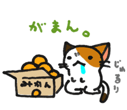 Orange-Cardboard cat sticker #15093644