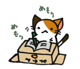 Orange-Cardboard cat sticker #15093647