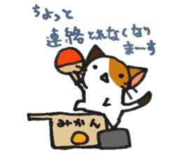 Orange-Cardboard cat sticker #15093648