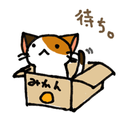 Orange-Cardboard cat sticker #15093651
