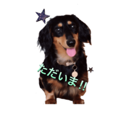 DACHSHUND. sticker #15094432