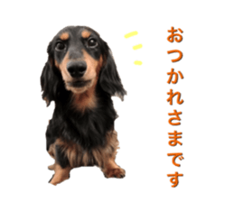 DACHSHUND. sticker #15094434