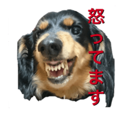 DACHSHUND. sticker #15094435