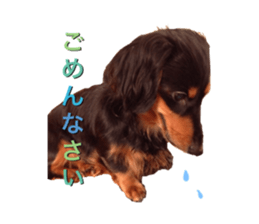 DACHSHUND. sticker #15094436