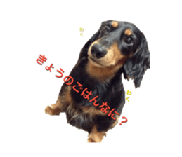 DACHSHUND. sticker #15094437