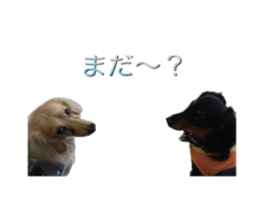 DACHSHUND. sticker #15094440