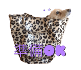 DACHSHUND. sticker #15094442