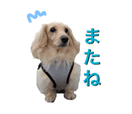 DACHSHUND. sticker #15094445