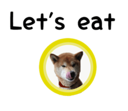 Japanese midget shiba Non English.ver sticker #15095549