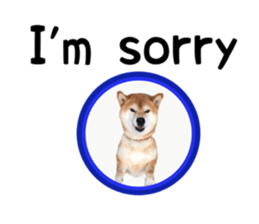 Japanese midget shiba Non English.ver sticker #15095553