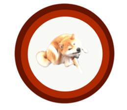 Japanese midget shiba Non English.ver sticker #15095558