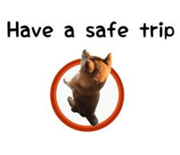 Japanese midget shiba Non English.ver sticker #15095560