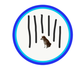 Japanese midget shiba Non English.ver sticker #15095566