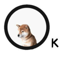 Japanese midget shiba Non English.ver sticker #15095570