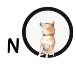 Japanese midget shiba Non English.ver sticker #15095571