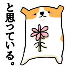 The dog which speaks for feeling