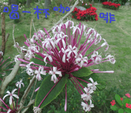 Like home sticker #15099005