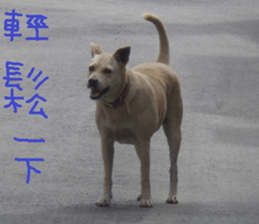 Like home sticker #15099006