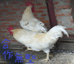 Like home sticker #15099011